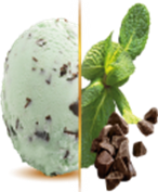 Menthe 