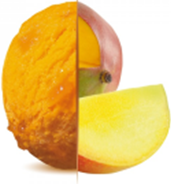 Mangue